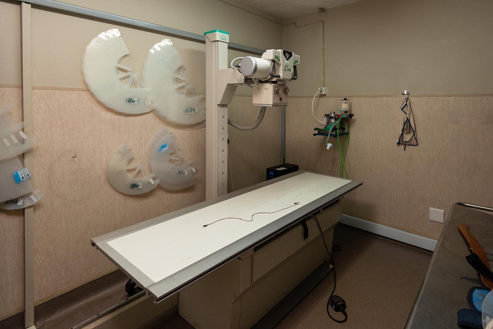 Digital Radiography X-Ray