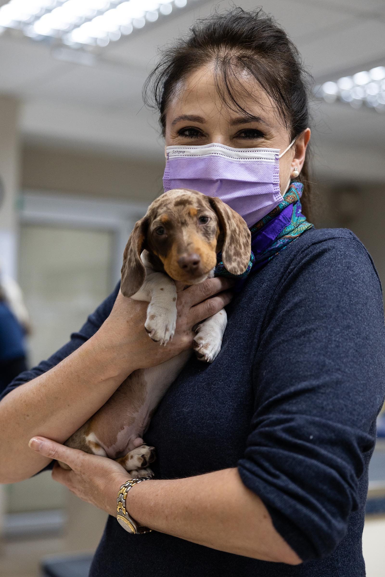 Compassionate & Specialist Care for Your Pet