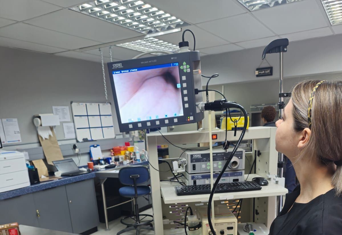Endoscopy Equipment