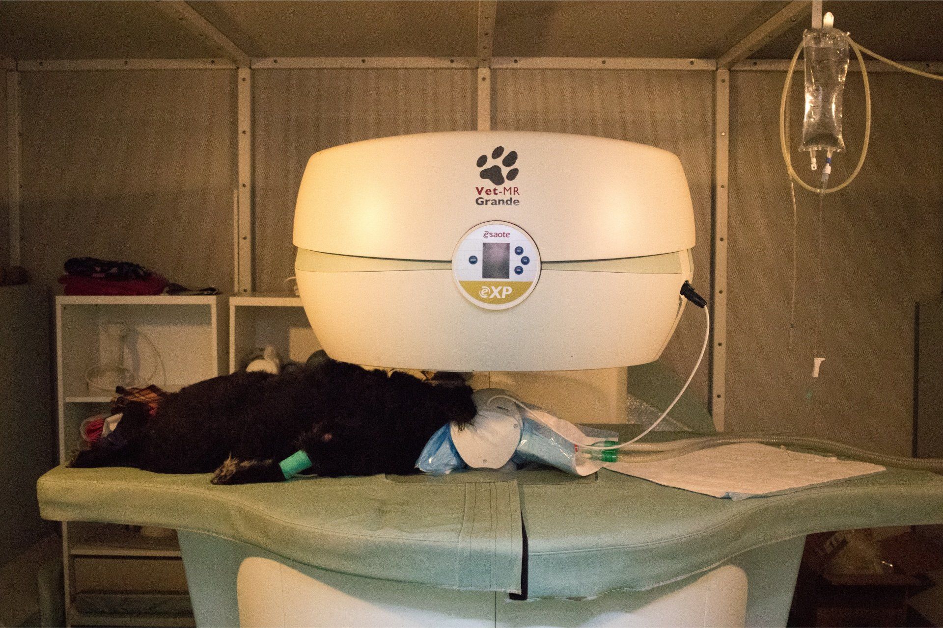 MRI Equipment