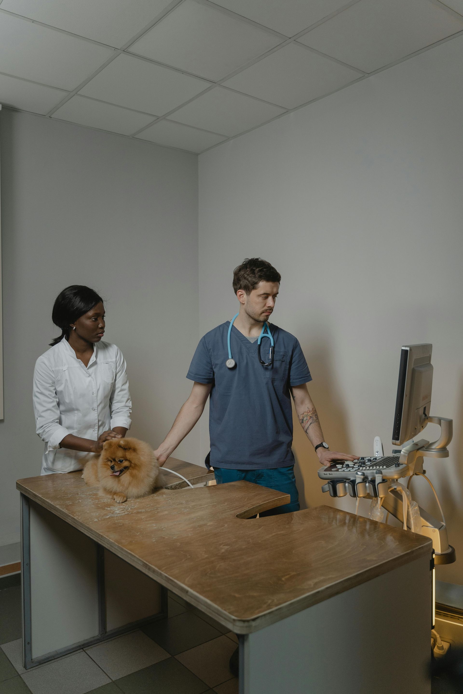 How Ultrasound Imaging Works: