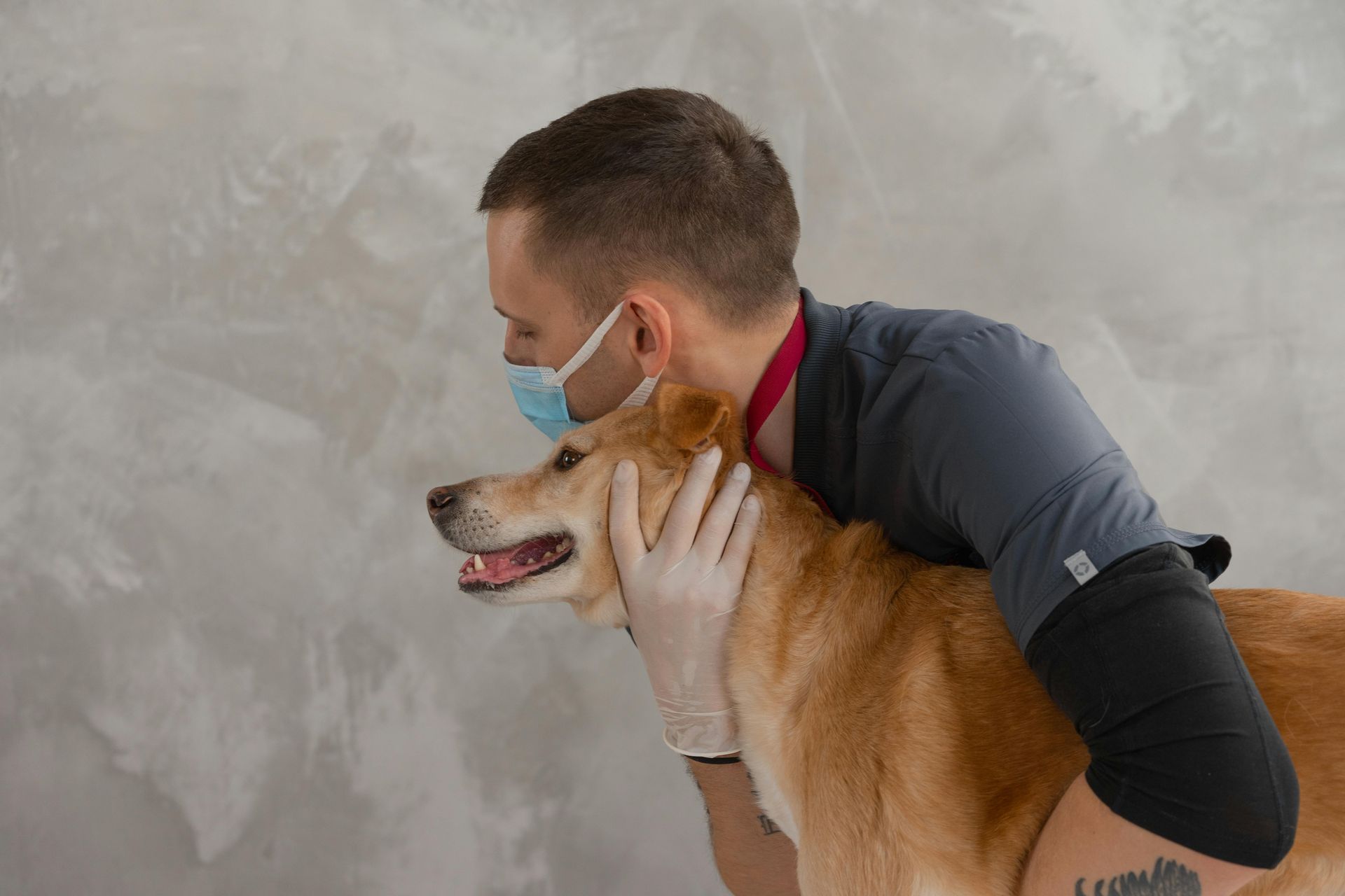 Fourways Veterinary Hospital's Commitment to Your Pet's Care: