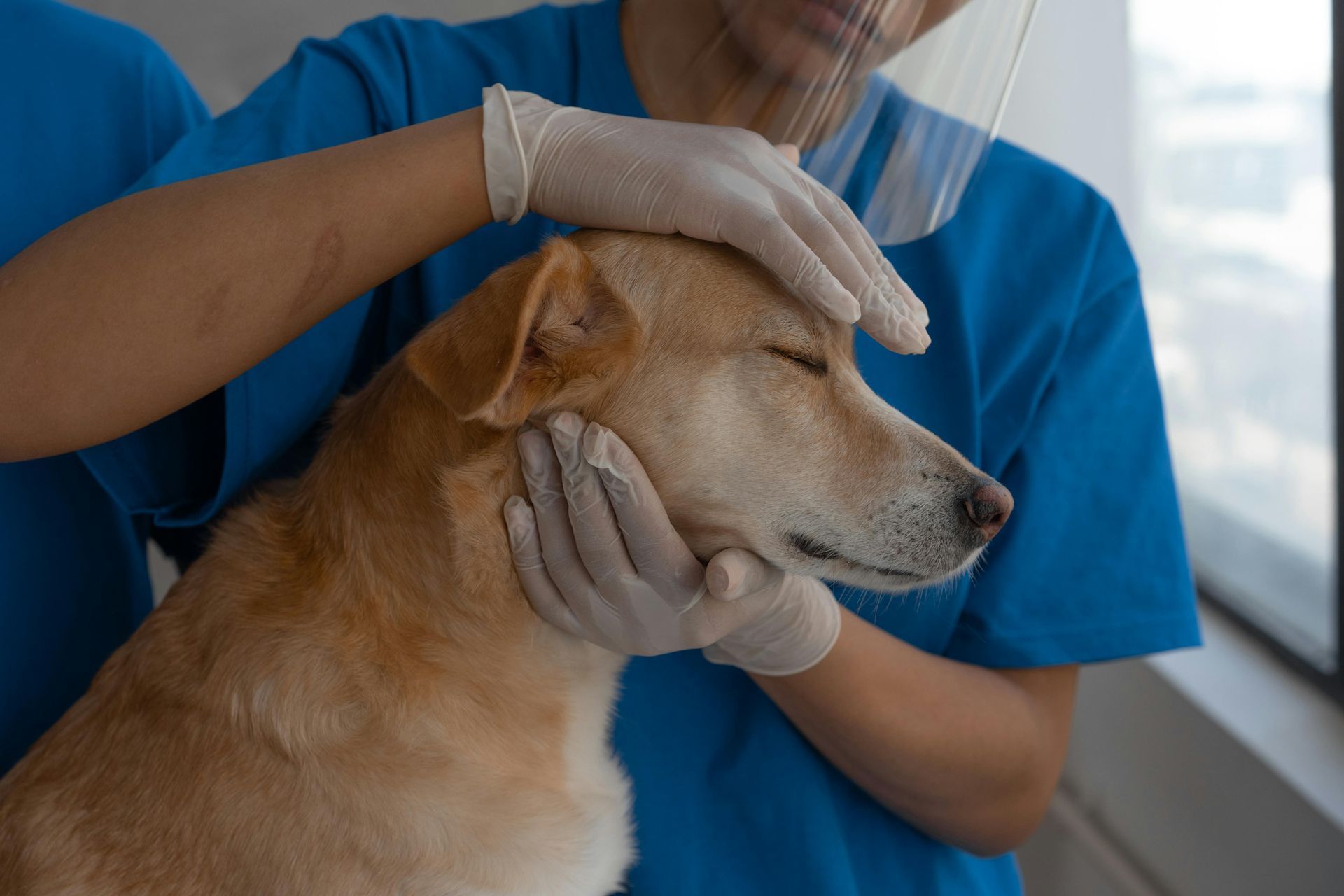Features of Our High Care Unit: